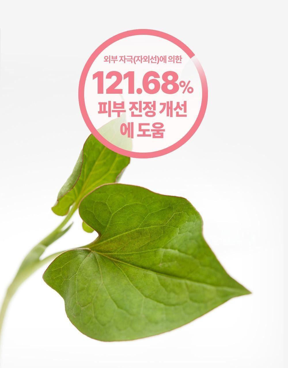 구달 맑은 어성초 진정 수분 톤업 선크림 50ml [텔레토비/더블 기획] 상세 이미지 23