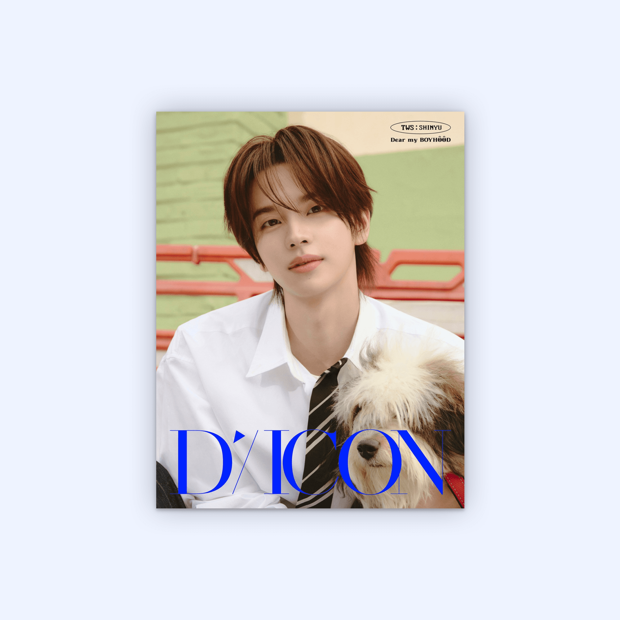 DICON VOLUME N°34 TWS : (A-TYPE) DEAR MY BOYHOOD [01 - SHINYU]